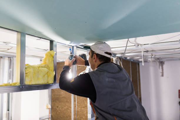 Best Cellulose Insulation in Pine Mountain Clu, CA