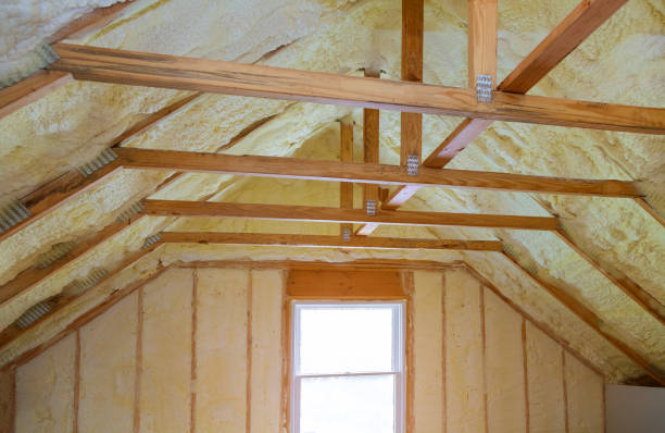 Best Eco-Friendly Insulation in Pine Mountain Clu, CA