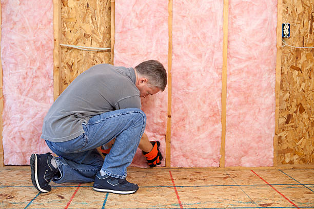 Types of Insulation We Offer in Pine Mountain Clu, CA