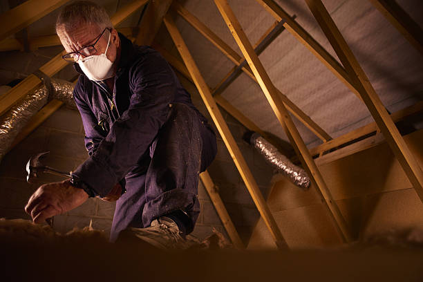 Best Insulation Maintenance and Repair in Pine Mountain Clu, CA